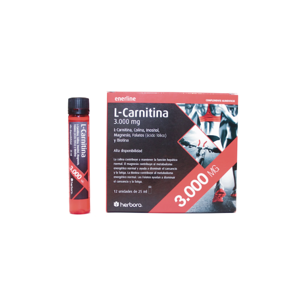 funcion de l carnitina L- Carnitina